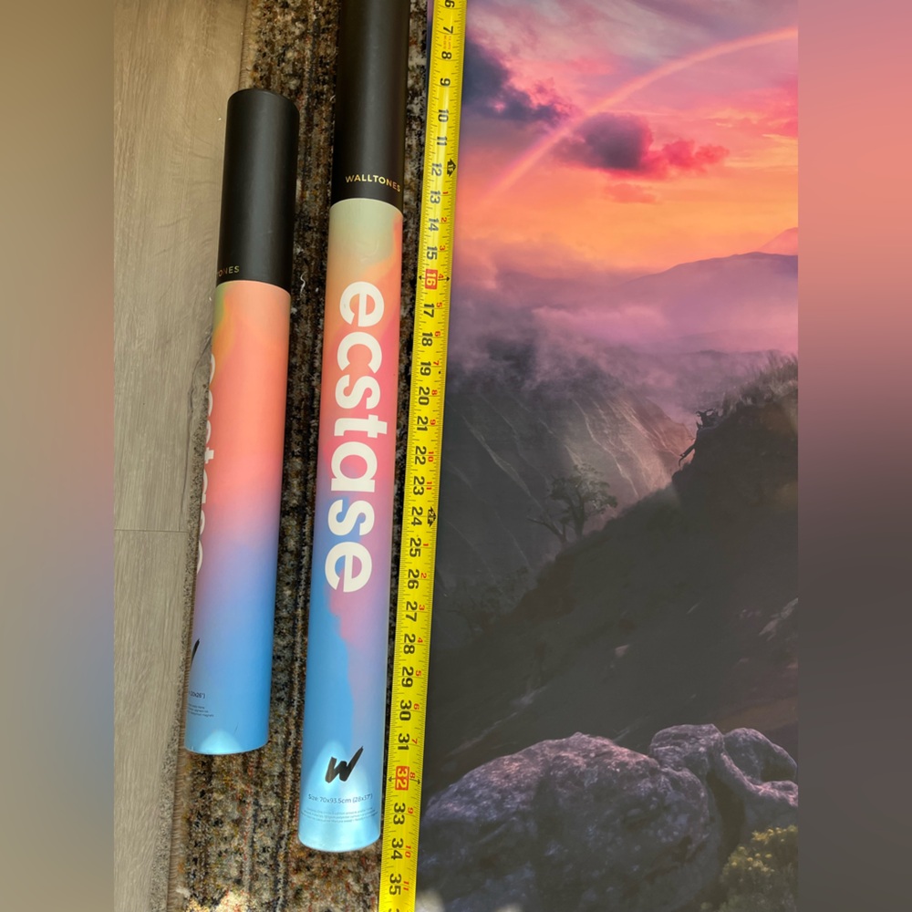 COPY - Ecstase “On Top of the World” Walltone Canvas Print - with Frame - Picture 3 of 8